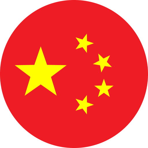 中文 (中国)